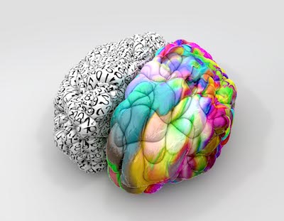Cerveau-deconnecte