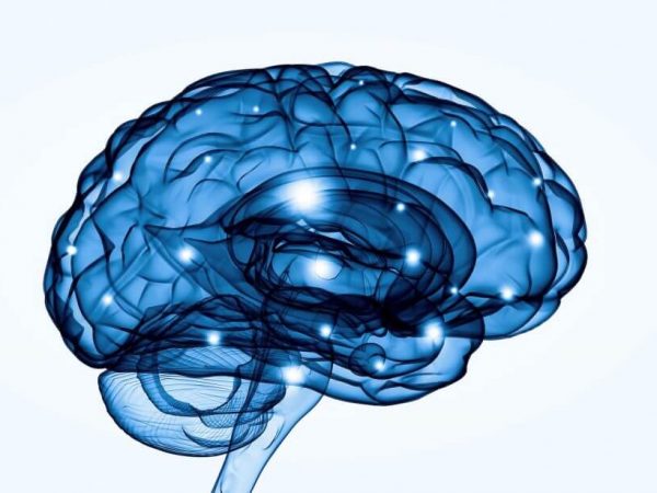 cerveau tdah et cognition